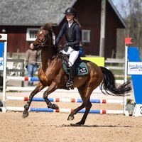agnes06svensson