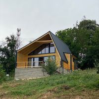 casedinlemnvalcea
