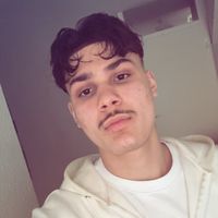 le1.n01