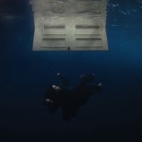 wildflower x tv by billie eilish