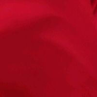 red_thoughs_e