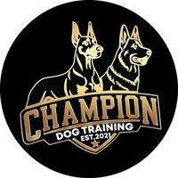championdogtraininguk