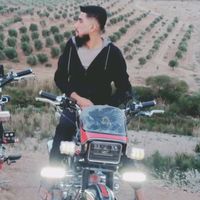 user7048262806982