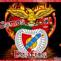 benfiquistas_2011