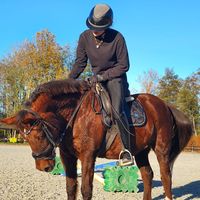 equestrianxleah3
