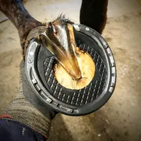 original sound - davidplaine