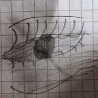 fiona_roblox1234
