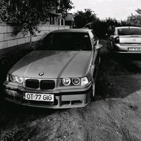 mihai.petroi