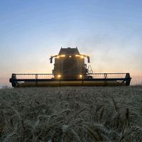 son original - Agriteam Est 🚜🌾