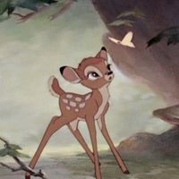 از تو چه پنهان من عاشقت بودم