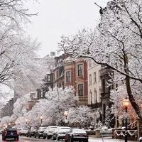 original sound - xo.christmas.cookie.ox