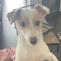 shi_ion_know_anything