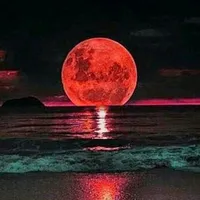 original sound - trip_lux