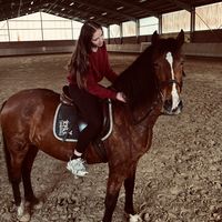equestrian_.jojo