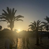 vero.dsk
