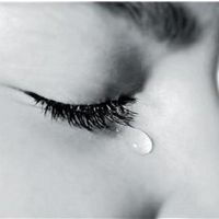 mitacoelhogmail.com1