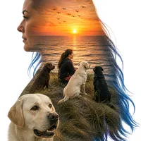original sound - labradors_offiziell