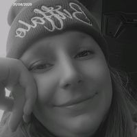 phylinehb0803