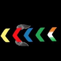 officialdirectioner13