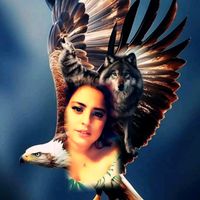 cristina.fata.luisilvika