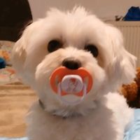 lucky_tiktok06112022