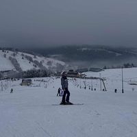 toca_kalii