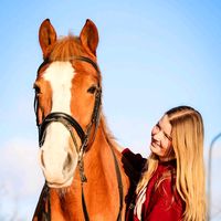 thehorse.lipton