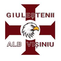 giulestenii1923