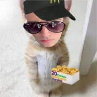 somebody else sped up