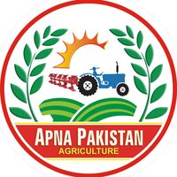 apna.pakistan.777