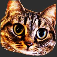 kyubi_biscuit