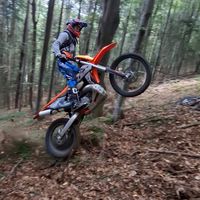 alexmuse_18