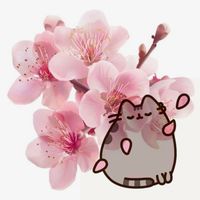 unicornok