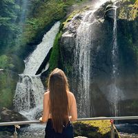 dayana.travel