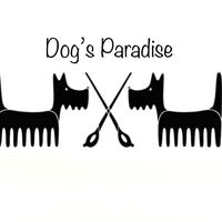 dogsparadisegrooming