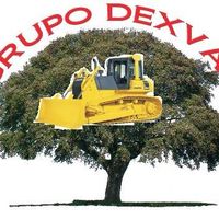 grupo_dexvas