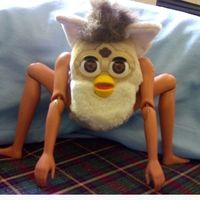 useer.furbyy