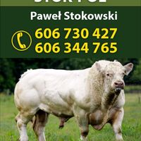 firma.stok.pol