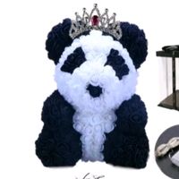 user5245616301801