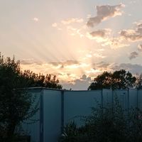 giovy7470