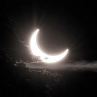 adaptation the weeknd