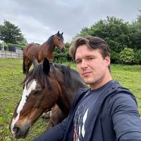 craigryan.equestrian