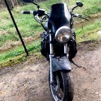 themcvikingbiker57
