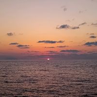 vitto_chi