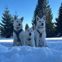 domaineduholzgiessen