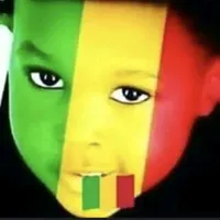 original sound - conseildesministres3aes