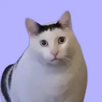 original sound - fundaily401