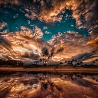 mr_h.a.p.p.i.n.e.s.s