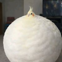 Originalton