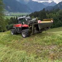 mittertola